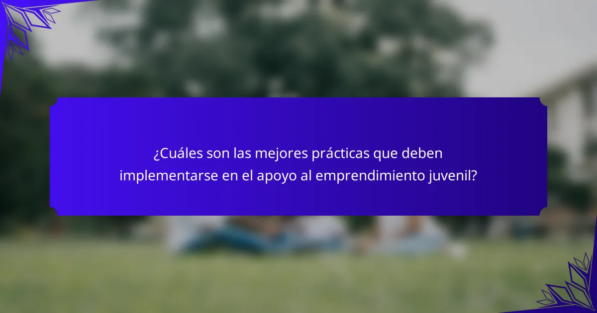 ¿Cuáles son las mejores prácticas que deben implementarse en el apoyo al emprendimiento juvenil?
