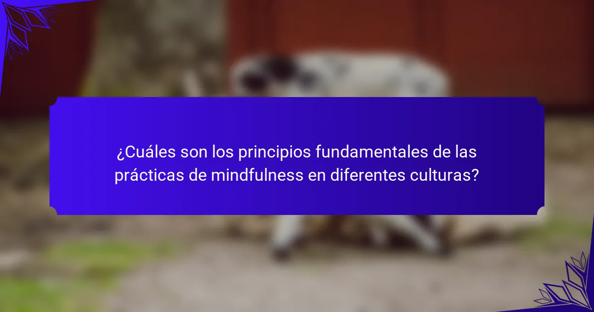 ¿Cuáles son los principios fundamentales de las prácticas de mindfulness en diferentes culturas?