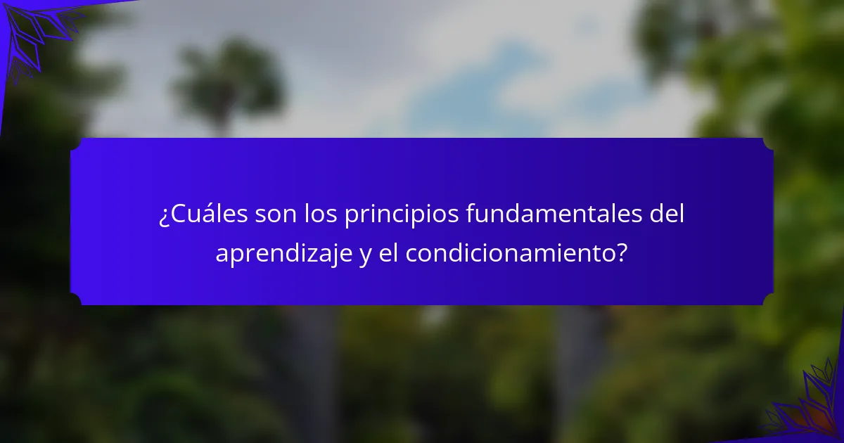 ¿Cuáles son los principios fundamentales del aprendizaje y el condicionamiento?