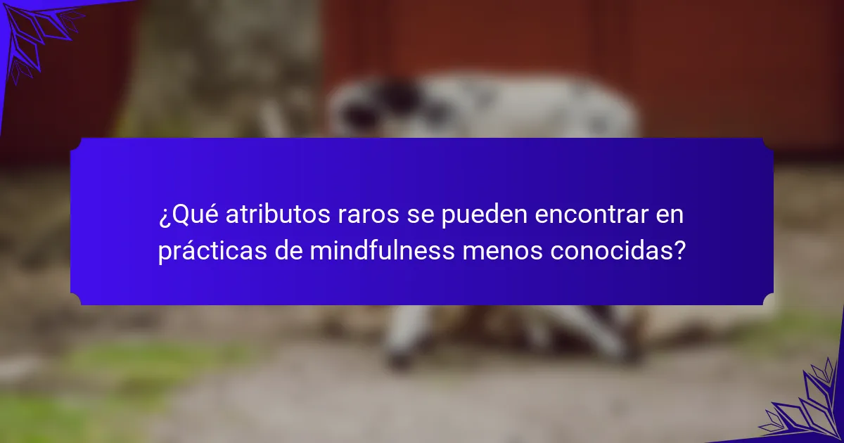 ¿Qué atributos raros se pueden encontrar en prácticas de mindfulness menos conocidas?