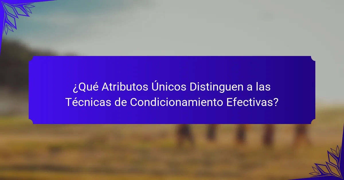 ¿Qué Atributos Únicos Distinguen a las Técnicas de Condicionamiento Efectivas?