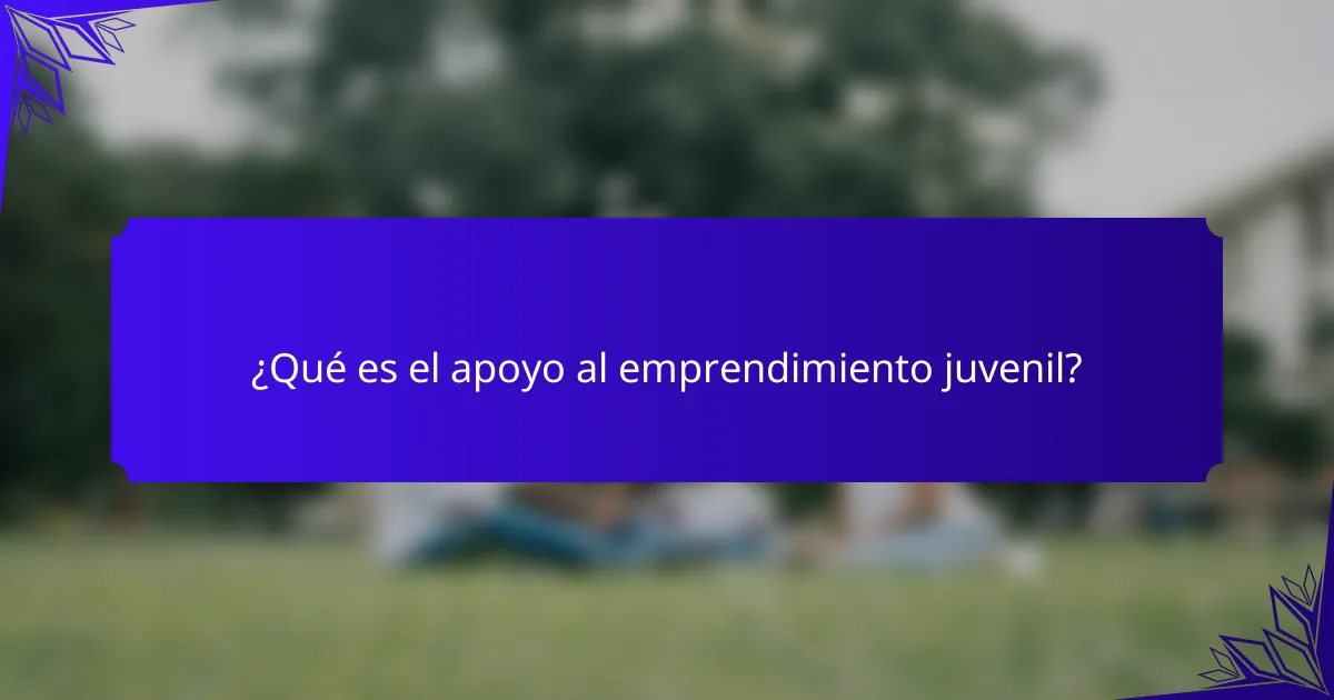 ¿Qué es el apoyo al emprendimiento juvenil?