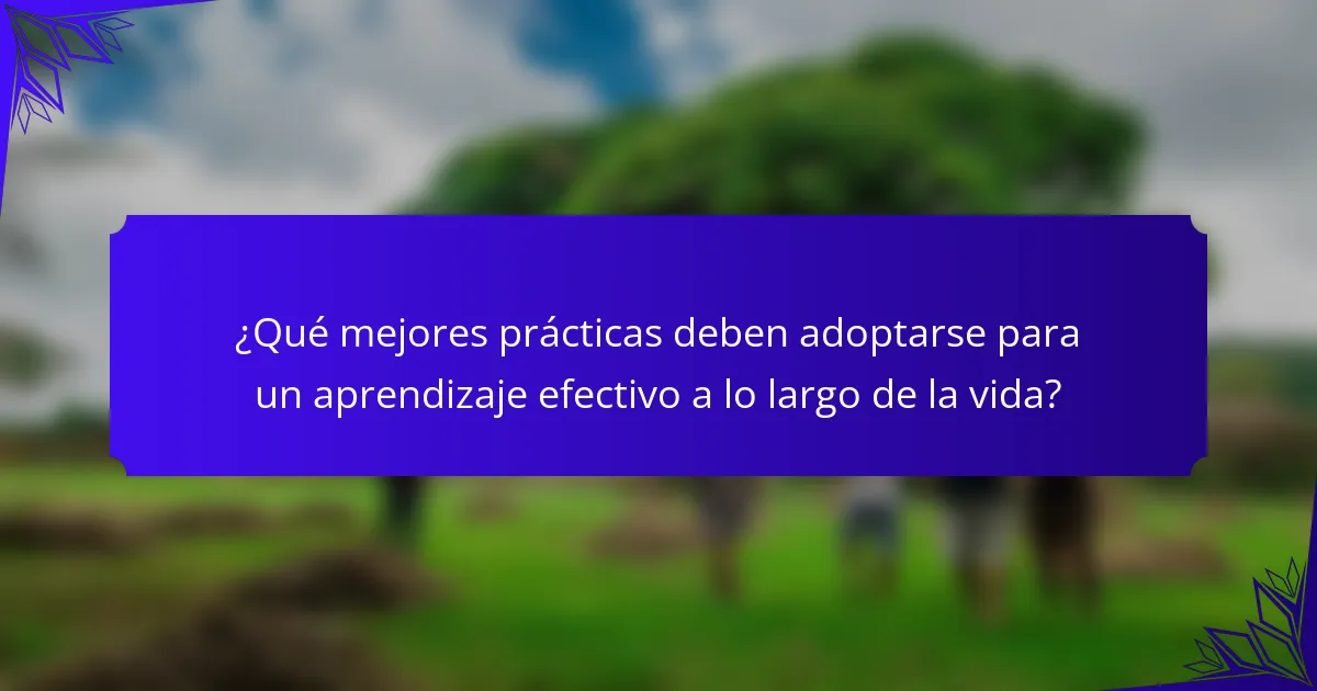 ¿Qué mejores prácticas deben adoptarse para un aprendizaje efectivo a lo largo de la vida?